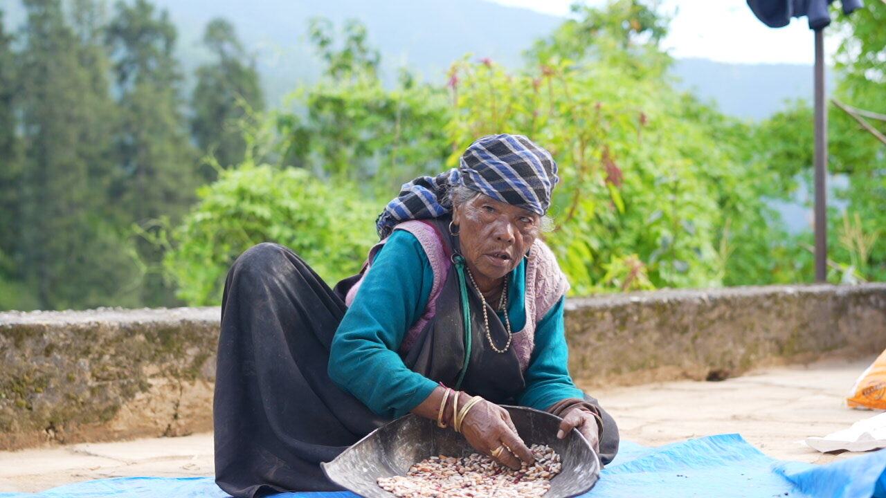 A woman in a green top and headscarf sorting dried beans in a tray on a rooftop in a hill village