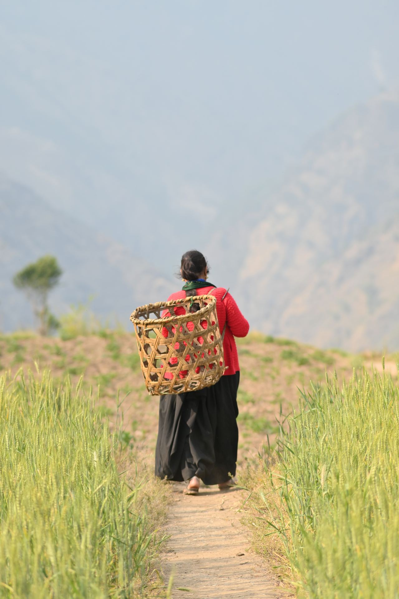 Village market morning with wild honey and handicrafts, Uttarakhand