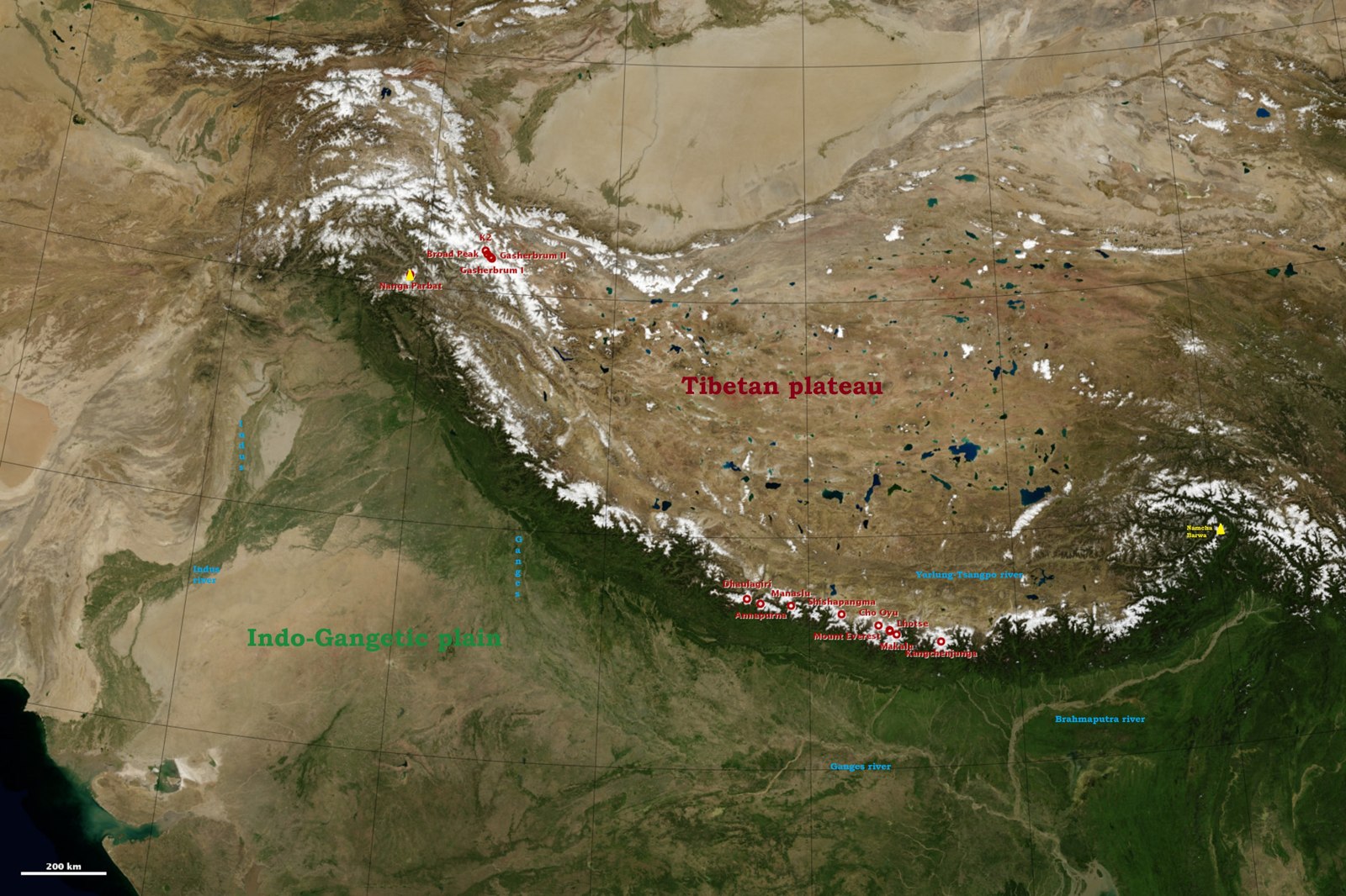 Why Provenance Beats Price in Himalayan Sourcing